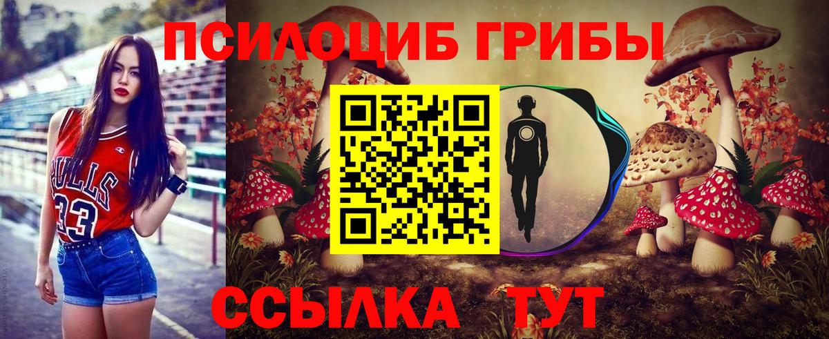 Ишимбай  закладка  Вход с VPN  Галлюциногенные грибы мухоморы 